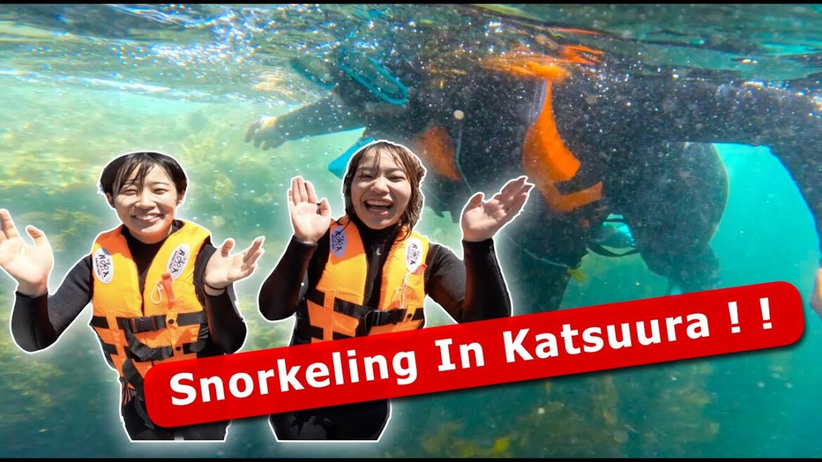 Snorkel Adventure in Katsuura with Seafari japan