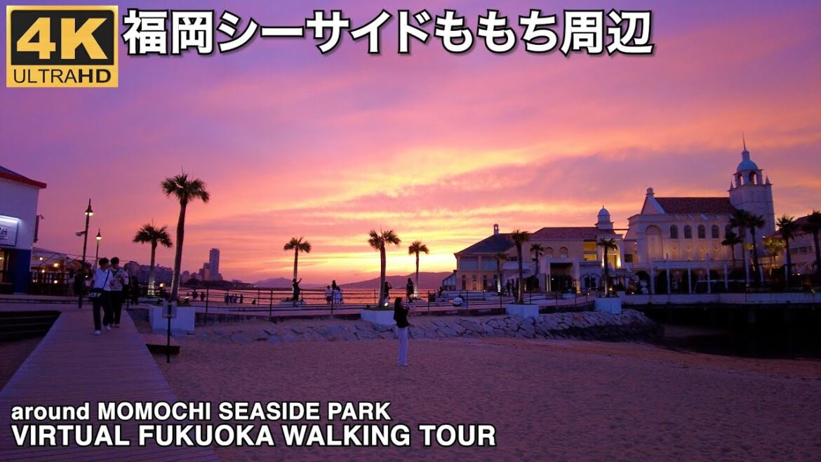 福岡シーサイドももちを歩く4k60p virtual Fukuoka walking tour around Momochi seaside park