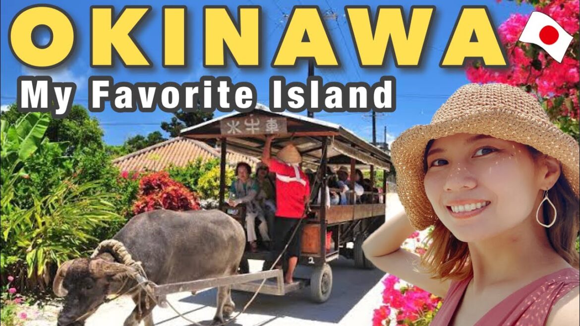 TAKETOMI ISLAND in OKINAWA🇯🇵 The most beautiful island in Japan, 15 minutes from Ishigaki Island⭐️ TAKETOMI ISLAND in OKINAWA🇯🇵 The most beautiful island in Japan, 15 minutes from Ishigaki Island⭐️