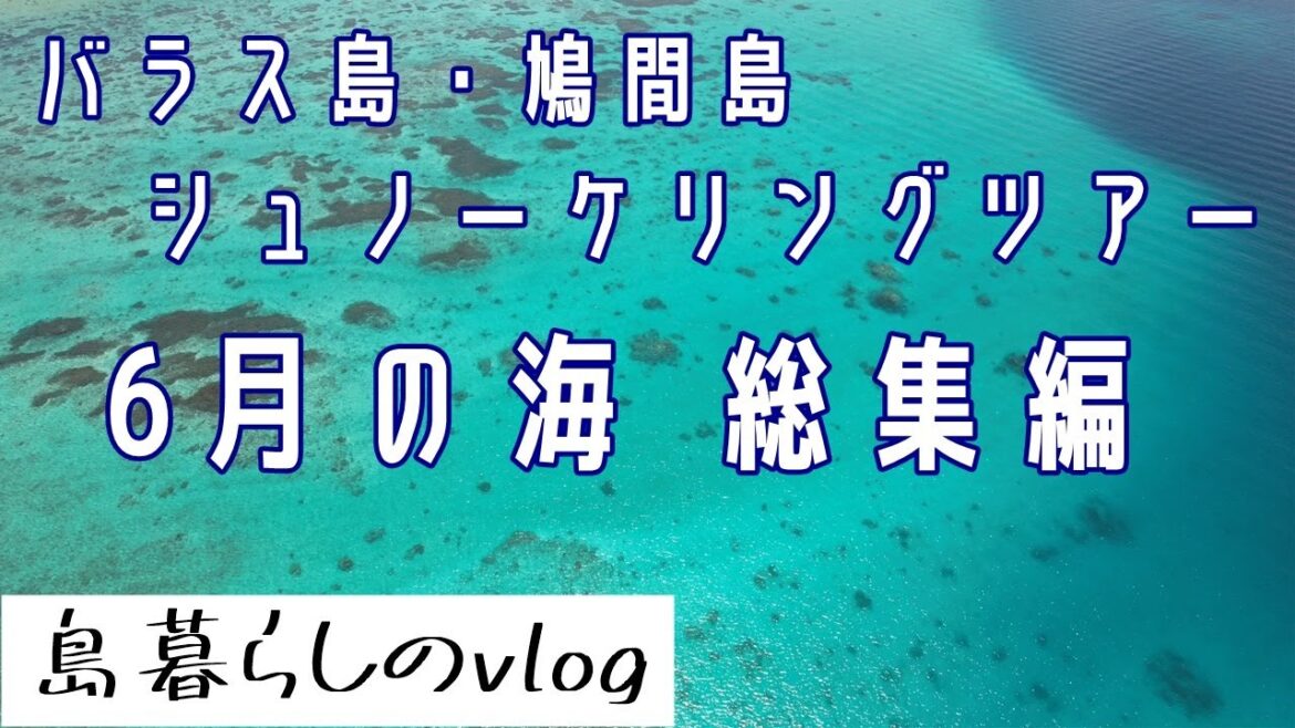 西表島バラス島・鳩間島シュノーケリングツアー/6月総集編/No.229