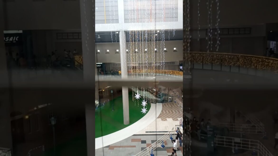 Fun in Kobe #Short #Shorts Fun in Kobe #Short #Shorts