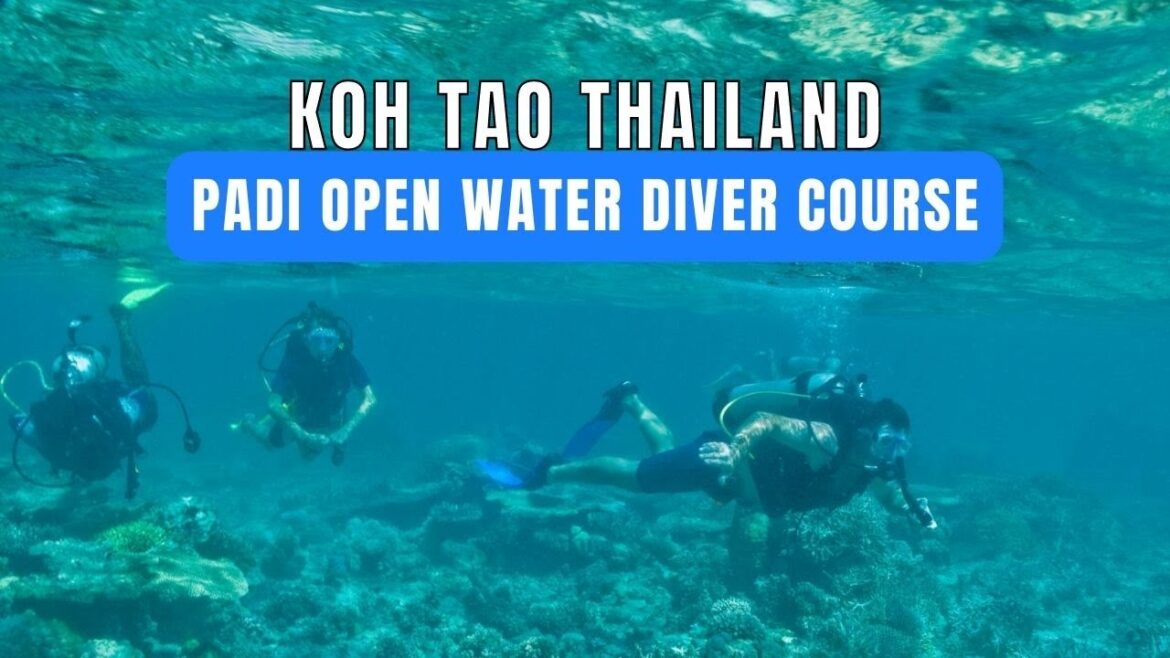 Scuba Diving in Koh Tao, Thailand | PADI Open Water Diver Course in Koh Tao | Eat Travel Fun