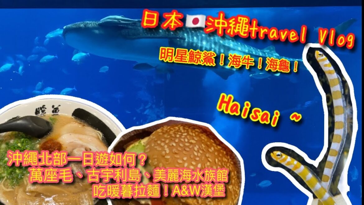 【KK travel Vlog】日本🇯🇵沖繩自助旅Vlog ｜沖繩北部一日遊｜萬座毛｜古宇利島｜美麗海水族館看明星鯨鯊 ｜美國村｜吃A&W漢堡｜暖暮拉麵｜男ひとり旅【記得開啟CC字幕哦】