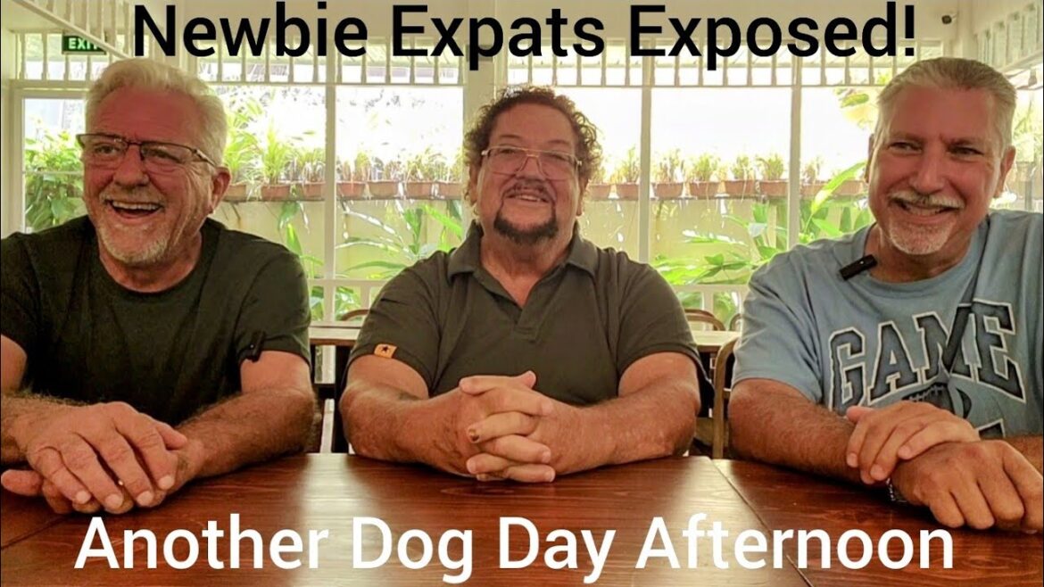 Newbie Expats Exposed! Living the Dream or Nightmare in the Philippines
