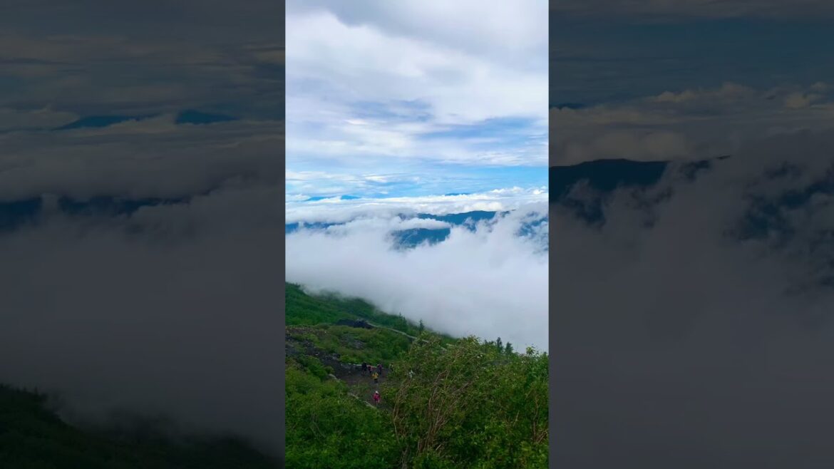 Above the clouds. Mt.Fuji #shorts