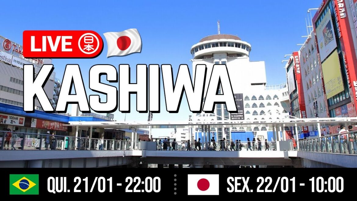 🚨🇯🇵 LIVE no Japão #25: Passeio nas ruas de KASHIWA, Chiba