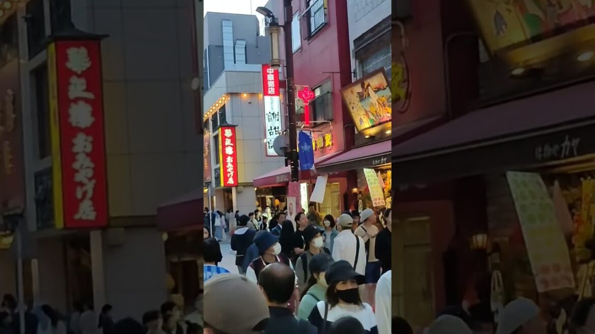 "Exploring Japan's Chinatown: A Culinary and Culture 🧫 Journey"