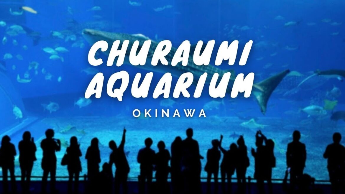 Churaumi Aquarium