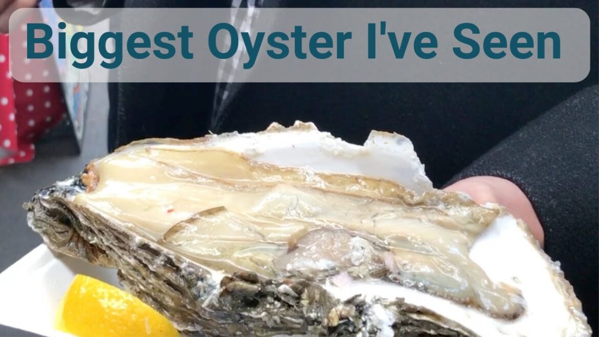 Biggest Oyster I've Ever Seen Eaten | Borough Markets Oysters London