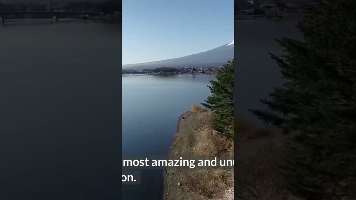 Japan Iconic Landscapes Thriving Cities and Bullet Train Adventures #shorts #tokyo #japantravel Japan Iconic Landscapes Thriving Cities and Bullet Train Adventures #shorts #tokyo #japantravel