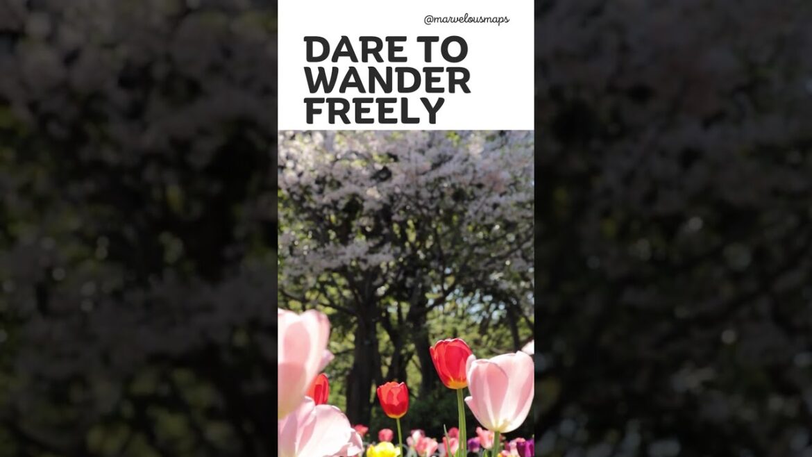 Japan travel | travel video | travel vlog | travel thirsty | travel video cinematic #shorts