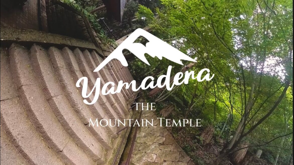 Hiking the Mountain Temple: YAMADERA (probably 1/4 of the trail 😂) #japan #insta360 #yamagata