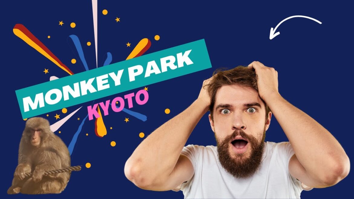 Arashiyama Monkey Park in Kyoto | Japan Vlog | UNCAGED Monkeys Arashiyama Monkey Park in Kyoto | Japan Vlog | UNCAGED Monkeys