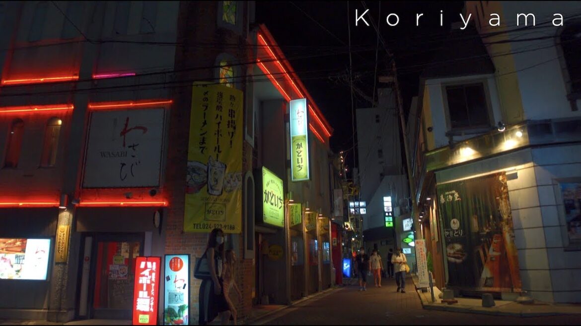 夜の郡山散歩/Koriyama night walk【4K HDR】 夜の郡山散歩/Koriyama night walk【4K HDR】