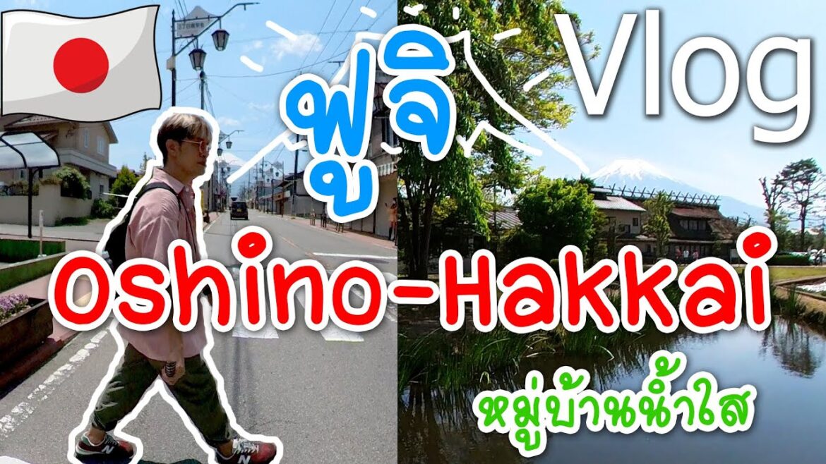 เดินถ่ายรูปกับภูเขาไฟฟูจิ ขึ้นรถบัสไป Oshino Hakkai เที่ยวญี่ปุ่น คนเดียว | Japan Vlog 2023