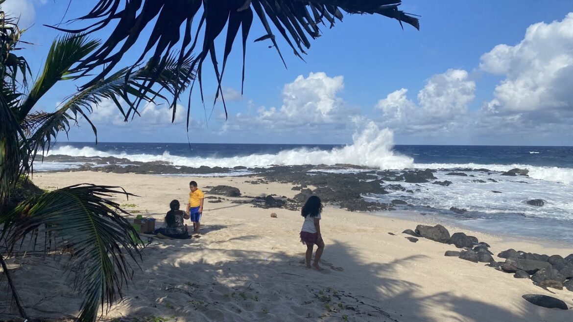 American Samoa 2023, our family picnic at TURTLE & SHARK beach