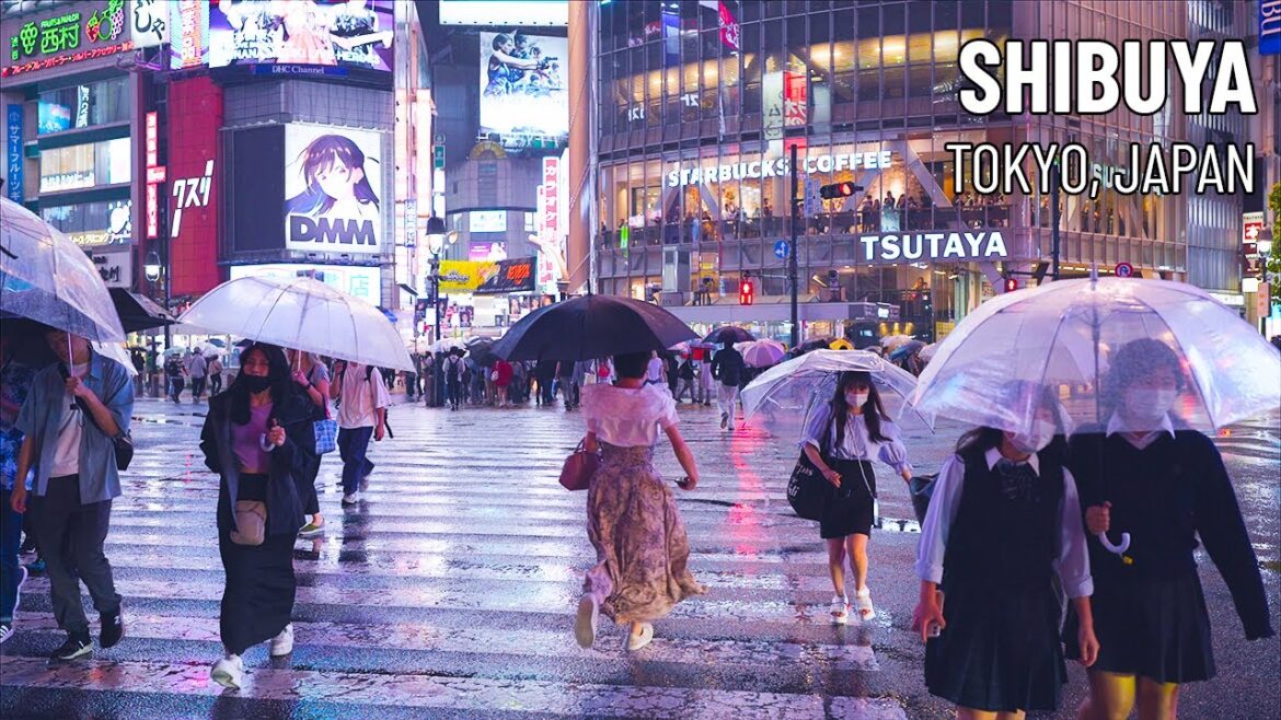 Rainy Night Walk in Shibuya 渋谷 | Tokyo, Japan | 4K Binaural City Ambience Sounds Rainy Night Walk in Shibuya 渋谷 | Tokyo, Japan | 4K Binaural City Ambience Sounds