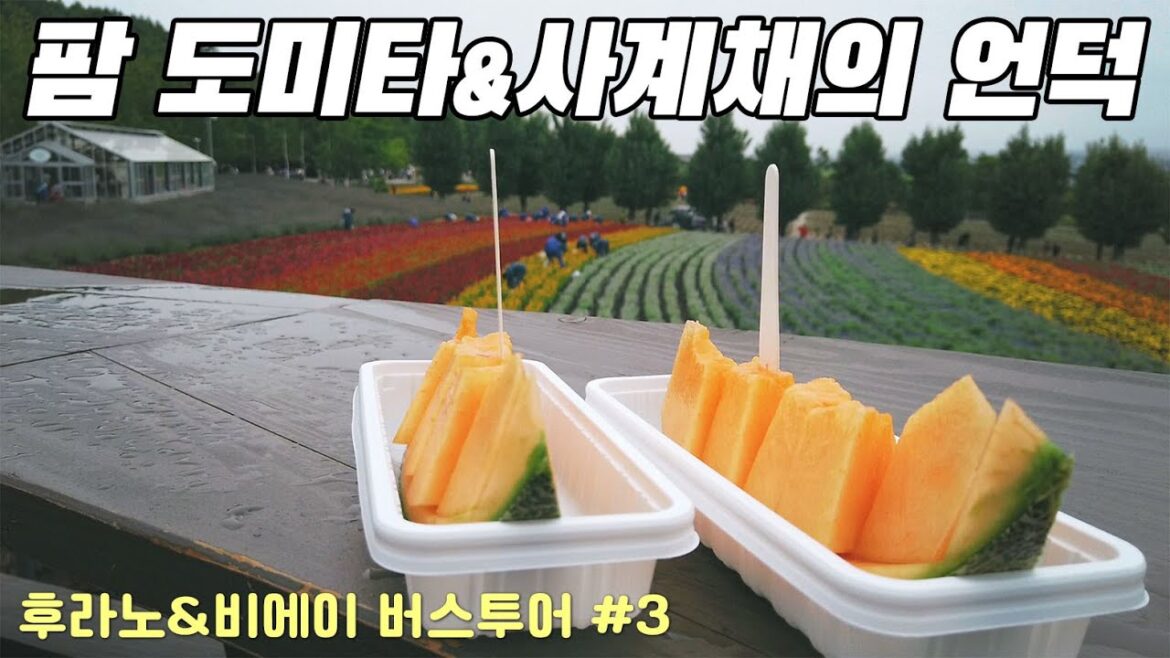후라노 라벤다농장 팜도미타&사계채의 언덕 | 일본여행 홋카이도 5박6일 DAY2 후라노•비에이 버스투어#3 Hokkaido Furano FARM TOMITA 北海道 富良野