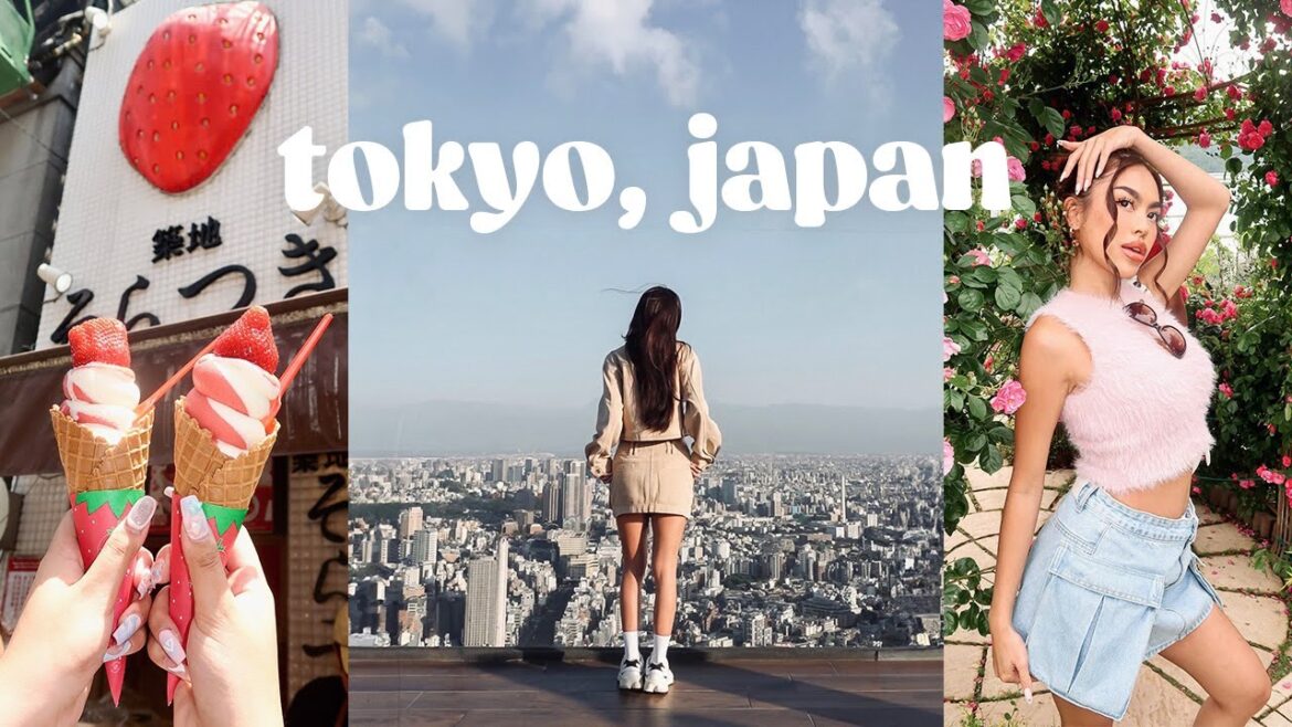 TOKYO VLOG 🇯🇵🍱🏔️ Mt. Fuji, Shibuya sky, Disneyland, TeamLab, Tsukiji market (pt. 1)