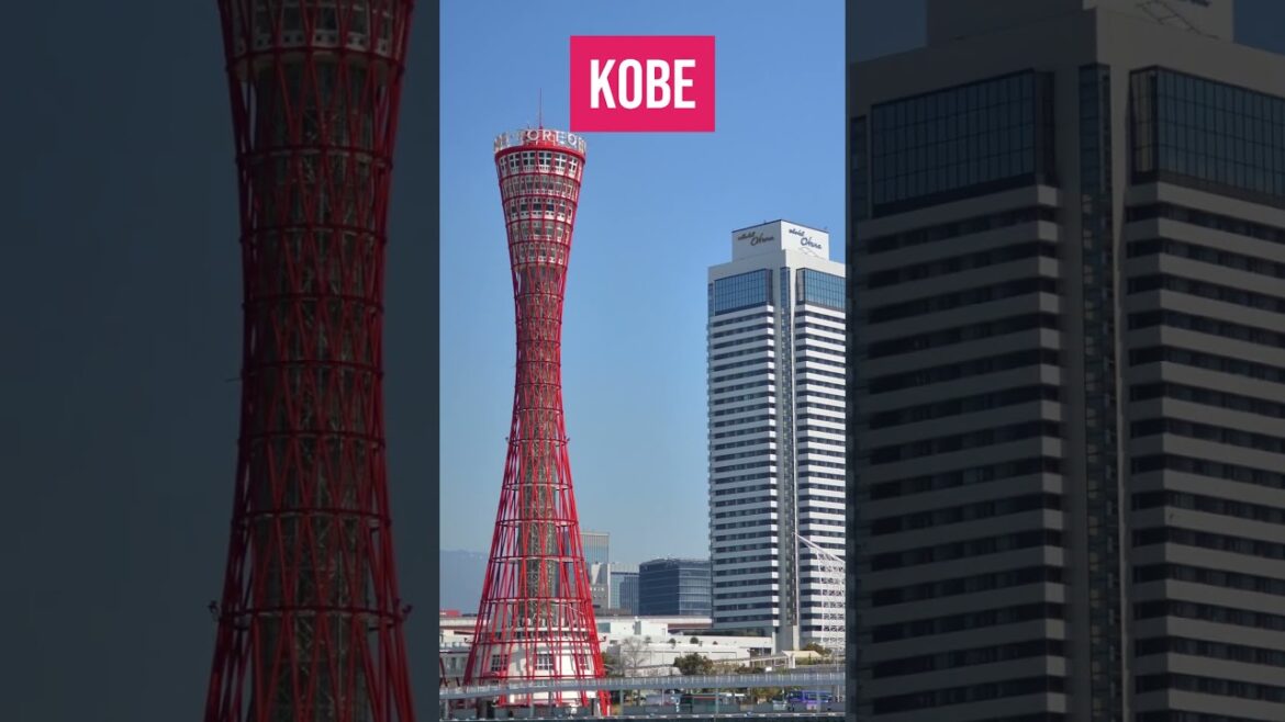 These are the cities you need visit in Japan #shorts #japan #travel