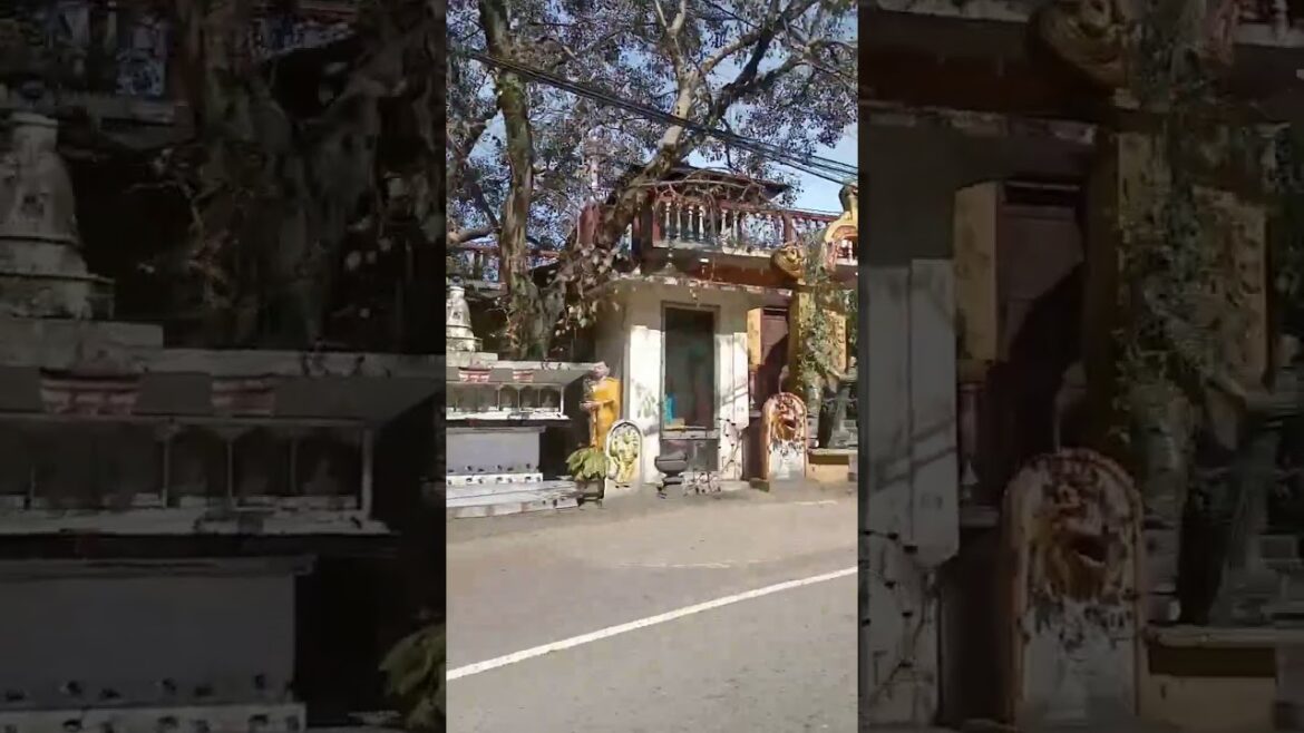 #shorts | kandy travel road | sri lanka travel vlog  🤩😍  | #youtubeshorts #short