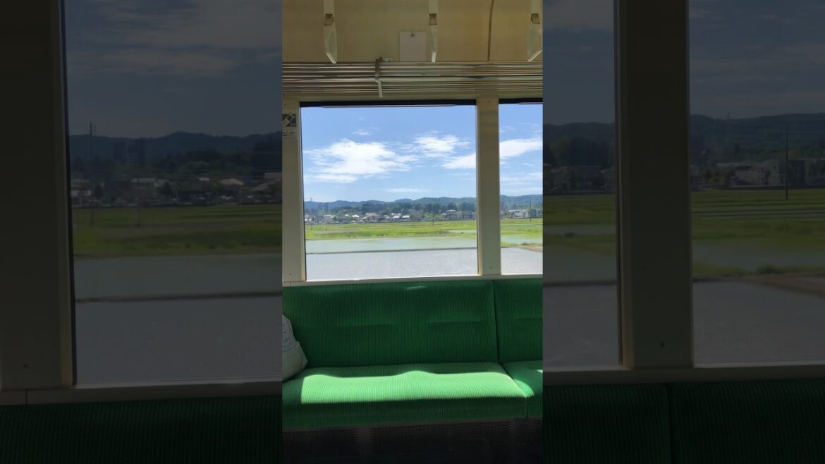 【鉄道のある景色】ローカル線で日本の夏の原風景