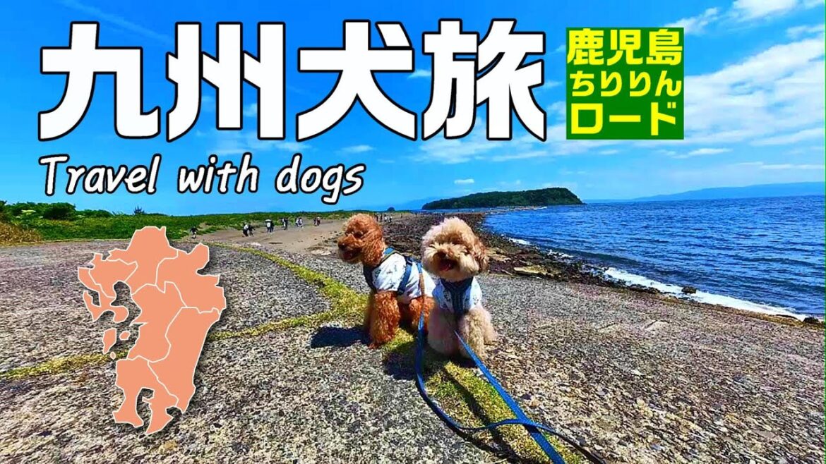 【九州犬旅 車中泊】鹿児島ちりりんロードを渡って道の駅山川港活お海道の絶品コロッケを堪能！｜九州旅行｜ちりりんロード｜知林ヶ島｜鹿児島｜キャンピングカー｜車中泊旅｜INUVAN イヌとバンライフ