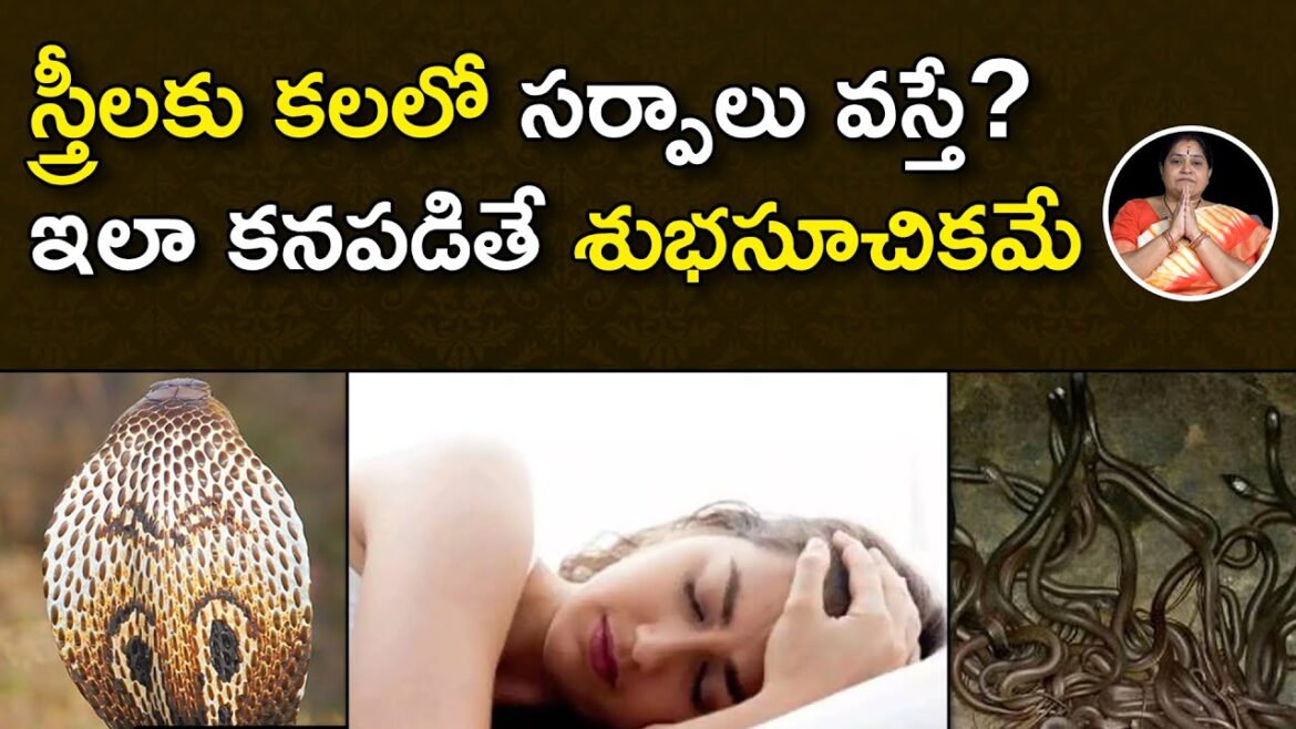 స్త్రీలకు కలలో పాములు కనిపిస్తే శుభమా.? అశుభమా..? | Dreaming About Snakes good or Bad? | Aadhan స్త్రీలకు కలలో పాములు కనిపిస్తే శుభమా.? అశుభమా..? | Dreaming About Snakes good or Bad? | Aadhan
