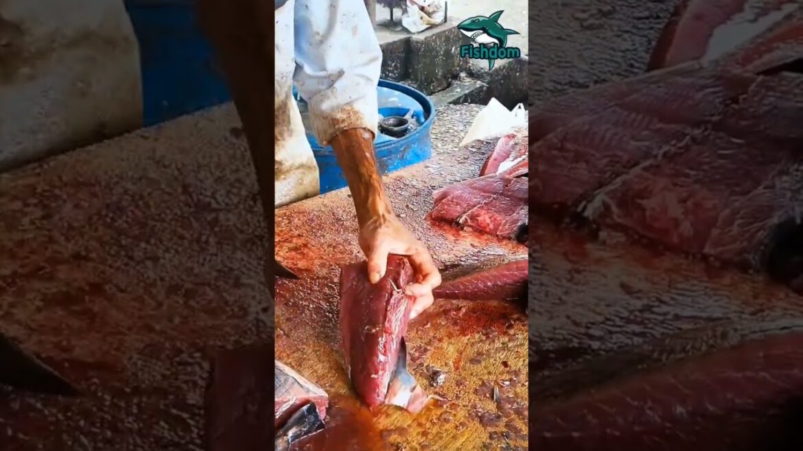 Wowwww ! Skipjack tuna fish cutting #fishmarket #fishcut #fishcutting #fishcuttingskill #centurytuna