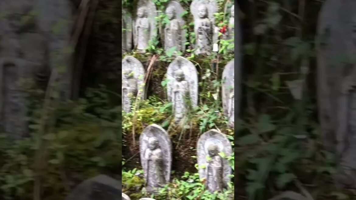 Tanuki-temple in Japan - See the Tanukidani-san Fudō-in Temple #travel #tanuki #temple #kyoto #japan