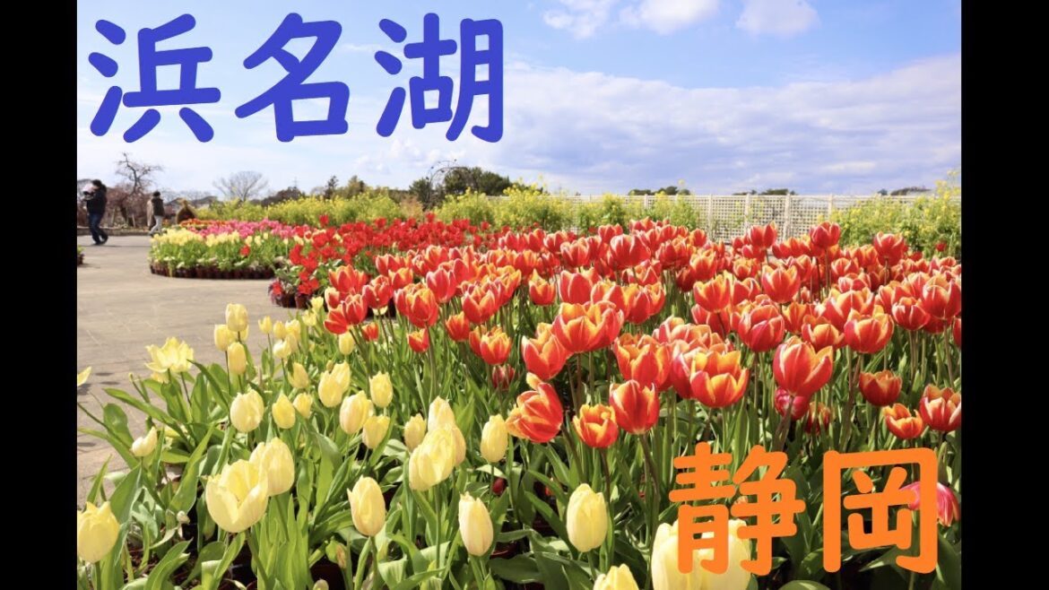 【浜松】浜名湖・舘山寺温泉ってどんなとこ？【絶景】