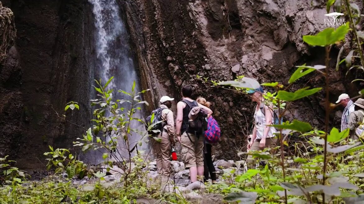 Walking safari walking in Tanzania Explore Tanzania Walking safari walking in Tanzania Explore Tanzania