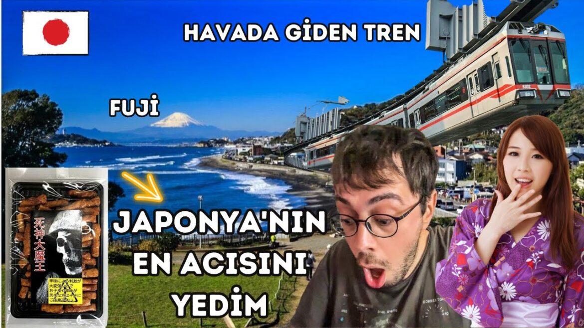 Tokyo Sahilleri,Havada Giden Japon Treni,Japonya’nın En Acı Krakerini Yedim, ENOSHİMA Tokyo Sahilleri,Havada Giden Japon Treni,Japonya'nın En Acı Krakerini Yedim, ENOSHİMA