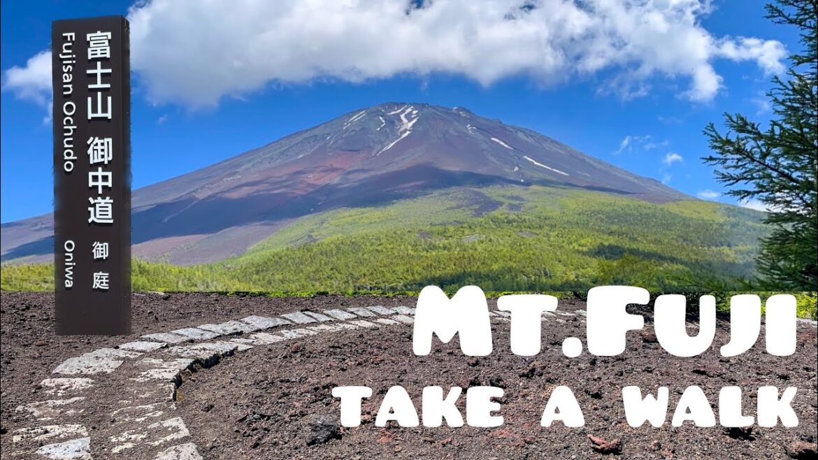 【一人旅】富士山五合目でゆる散歩🗻🚶♀️避暑地で絶景を楽しむ富士山御中道【日帰り】 【一人旅】富士山五合目でゆる散歩🗻🚶♀️避暑地で絶景を楽しむ富士山御中道【日帰り】