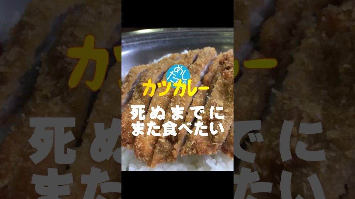死ぬまでにまた食べたいグルメ【04】カツカレー/登別