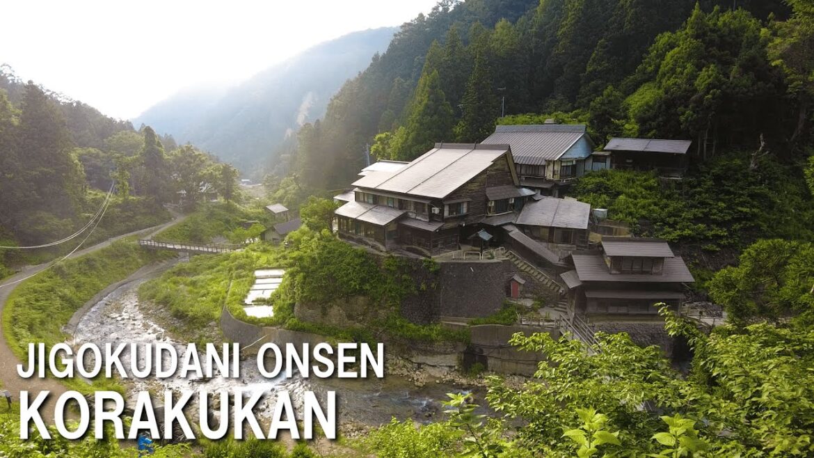 Japan Travel|Snow Monkey Park in Summer! Jigokudani Onsen Korakukan | Nagano Japan Travel|Snow Monkey Park in Summer! Jigokudani Onsen Korakukan | Nagano