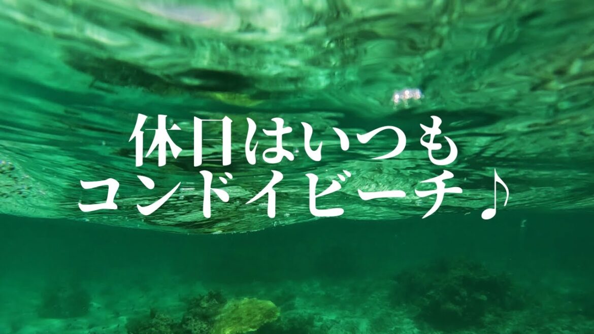 休日はいつもコンドイビーチで。  第388話 休日はいつもコンドイビーチで。  第388話