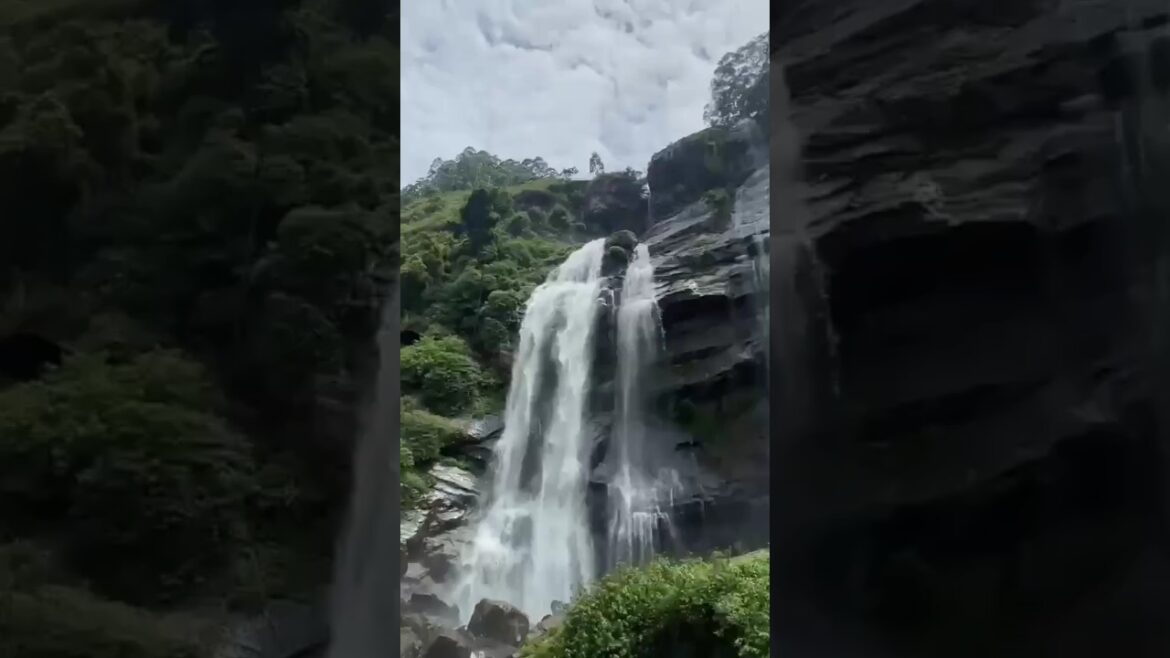 #shorts sri lanka travel vlog | wonderful travel places 😲🤩 #short #youtubeshorts #shorts sri lanka travel vlog | wonderful travel places 😲🤩 #short #youtubeshorts