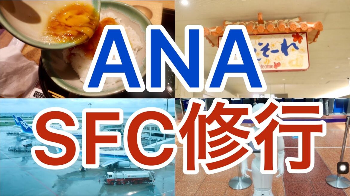 【SFC修行】365日飛行機乗れますか？ ANA羽田空港「SFC修行 2日目」全8日 airport