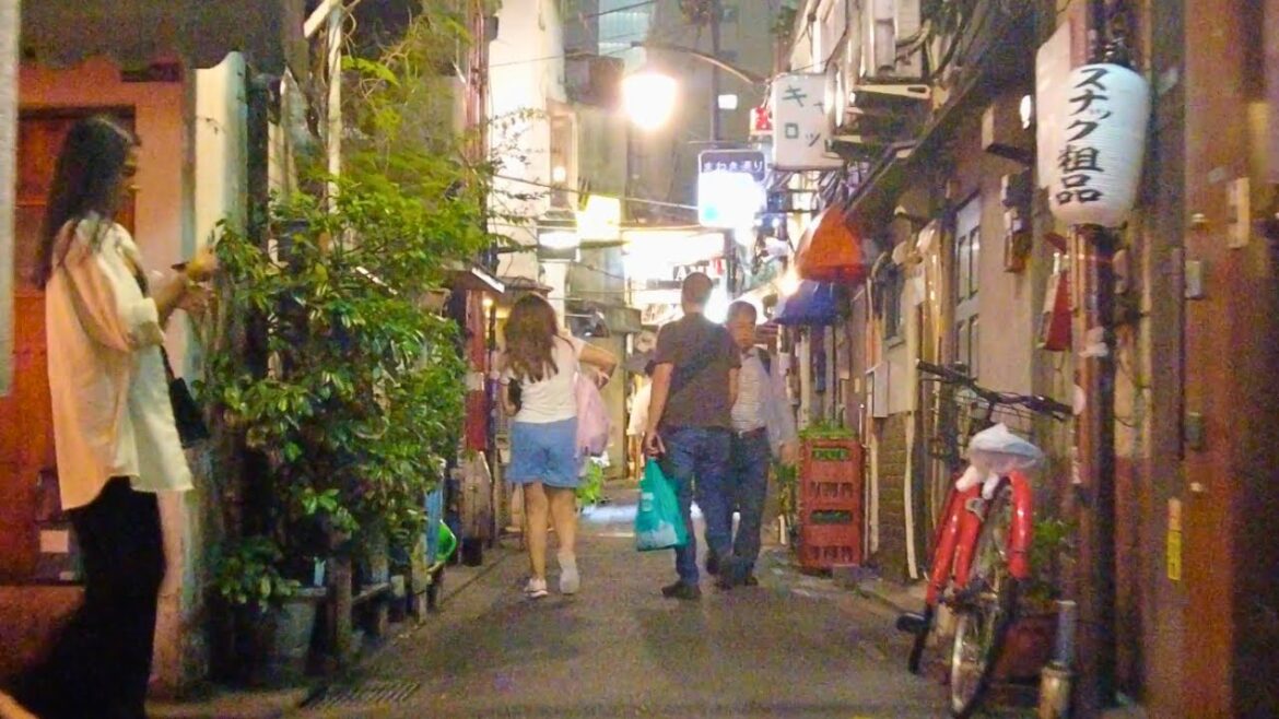 Tokyo Nightlife  2023 - The Hidden Alleys of Shinjuku & Kabukicho Golden gai | japan Night walking