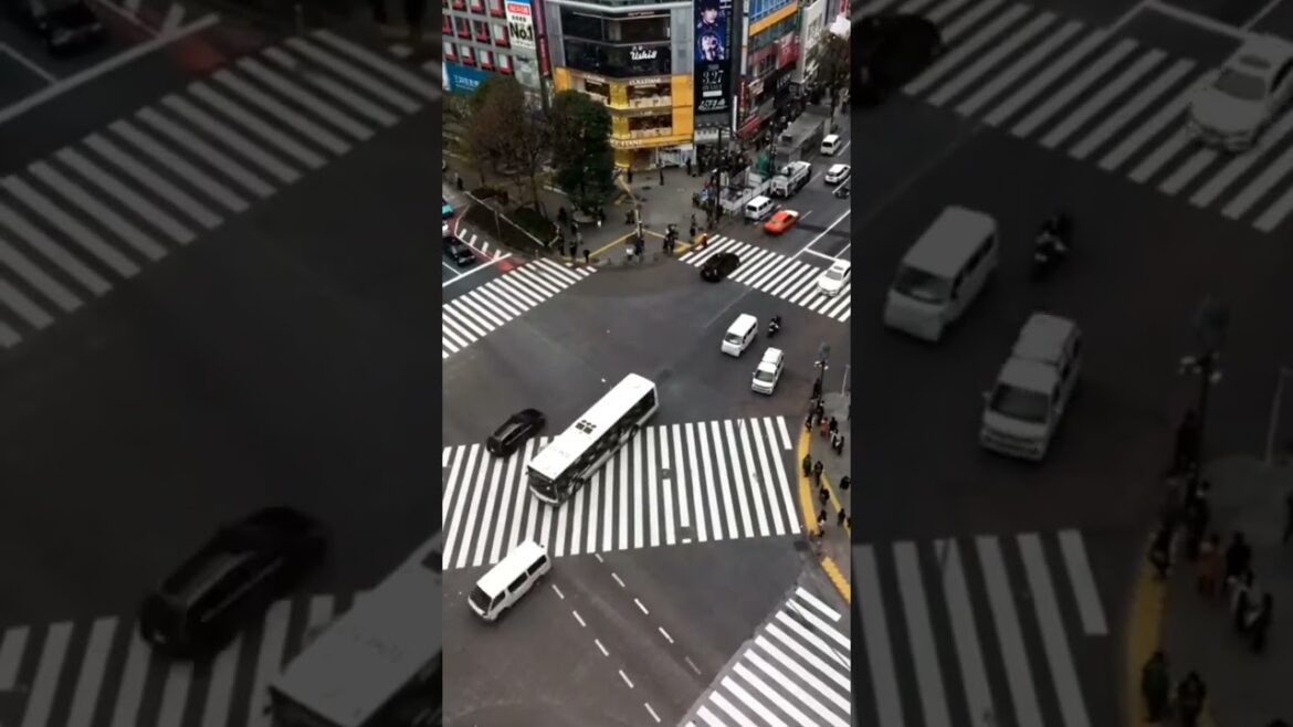 Experience the Shibuya Crossing Tokyo first time #short #shorts Experience the Shibuya Crossing Tokyo first time #short #shorts