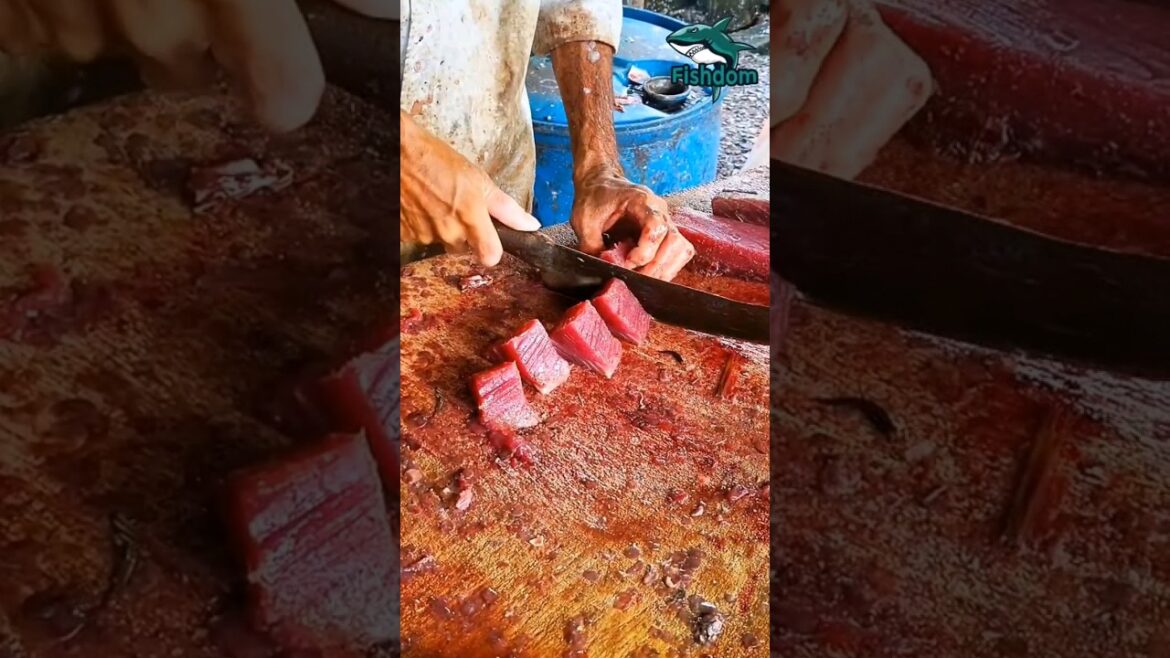 Super ! Skipjack tuna fish cutting #fishmarket #fishcut #fishcutting #fishcuttingskill #centurytuna