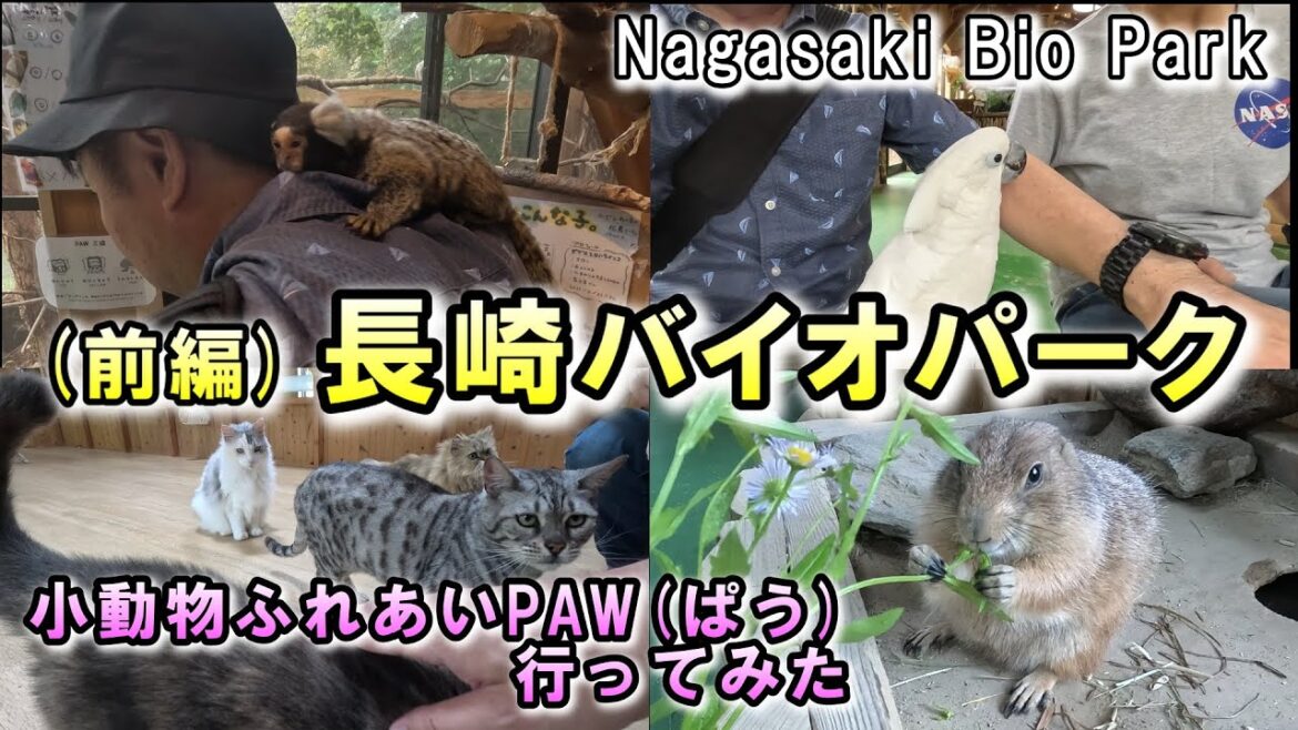 (前編)【長崎バイオパーク】小動物とのふれあいが魅力のPAWぱうへ行ってみた！