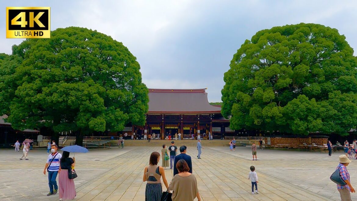 Tokyo's most loved shrine, Meiji Jingu /Japan/Harajuku/travel/trip/Walk/vlog