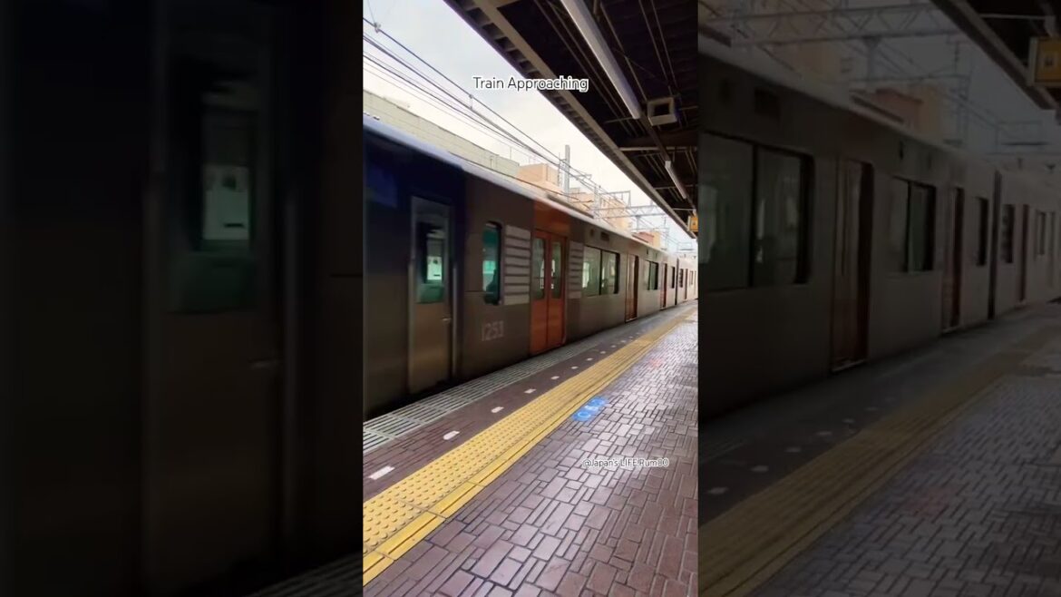 Train Approaching in Japan #日本 #travel #japanrailway #japan #train #travel #railway #shorts #জাপান Train Approaching in Japan #日本 #travel #japanrailway #japan #train #travel #railway #shorts #জাপান