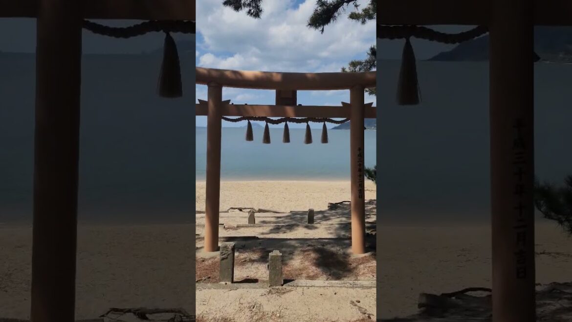 #fukuokatravel #fukuoka #Japaneseshrine #coast #torii #wavesounds #asmr #후쿠오카여행 #일본신사 #해안 #도리 #파도소리