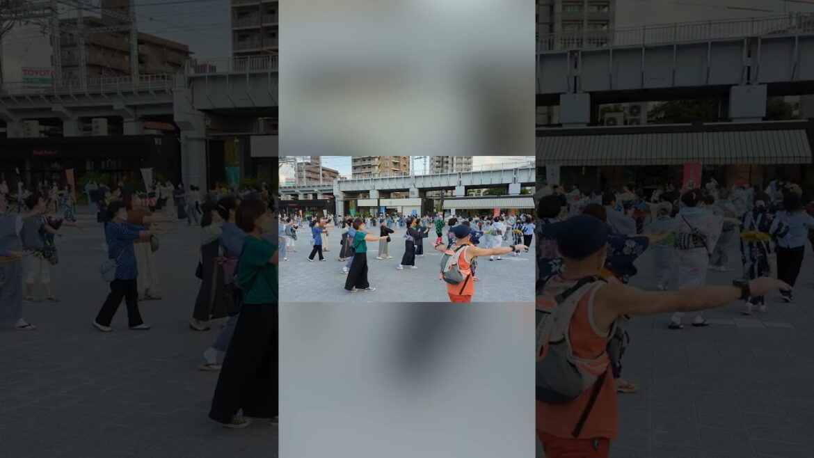 Japanese dance - Tanko Bushi