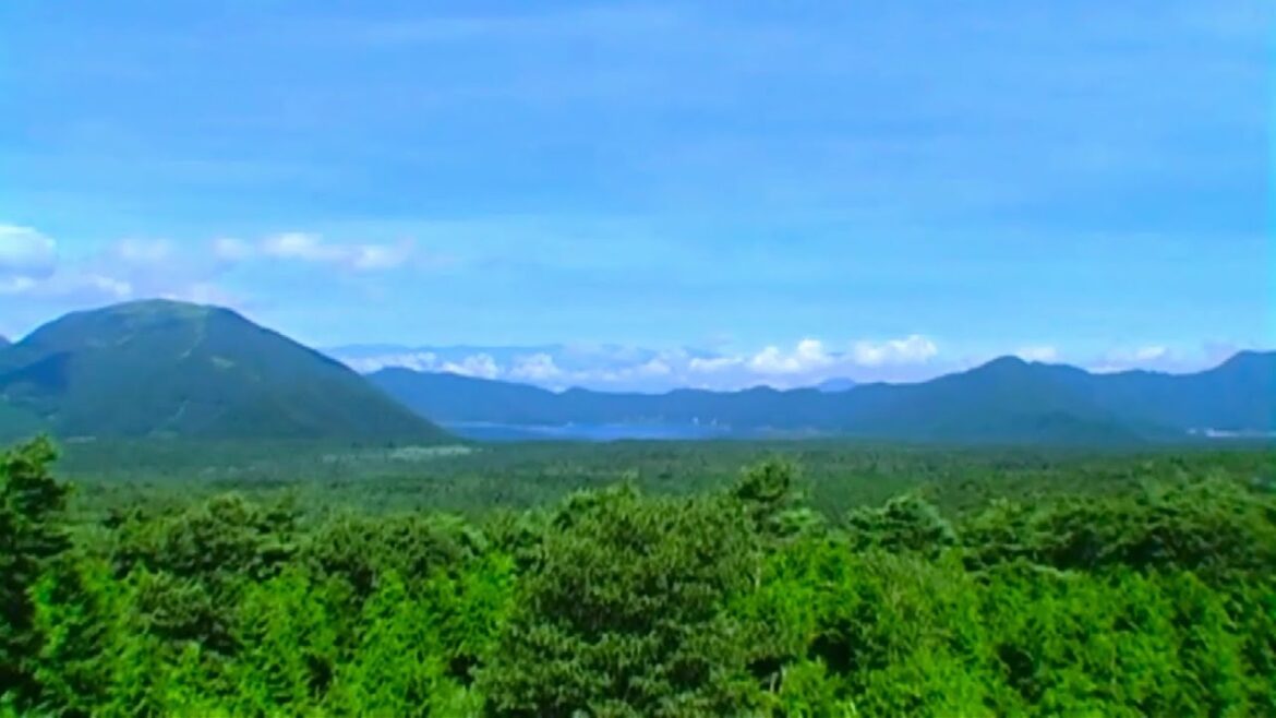A Summer View of Mount Fuji: Overlooking Lake Motosu and the Southern Alps from Aokigahara Forest A Summer View of Mount Fuji: Overlooking Lake Motosu and the Southern Alps from Aokigahara Forest