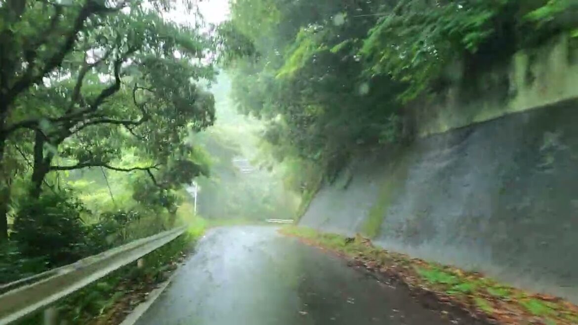 Rainy Day Drive - Driving in the Rain - Chiba Japan