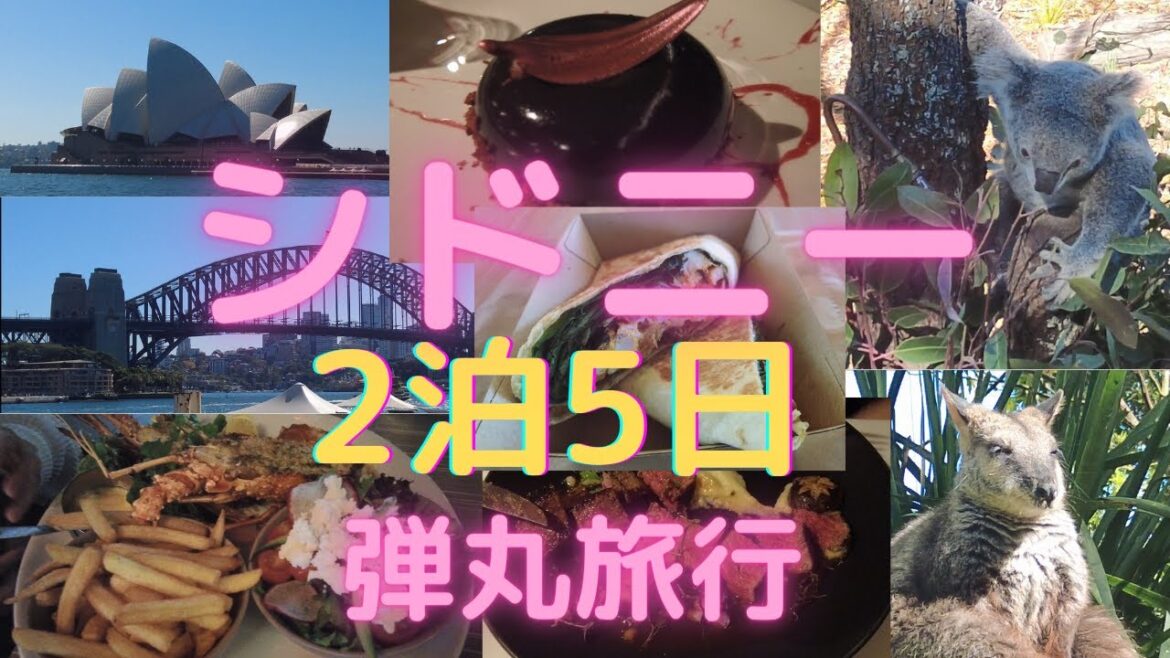 【シドニー旅行2泊5日　総集編】40代子なし夫婦のGW旅行！オペラハウス・ブルーマウンテンズ・ディナークルーズ・タロンガ動物園などを楽しんできました。人生初のシドニー旅行の様子をお伝えします！